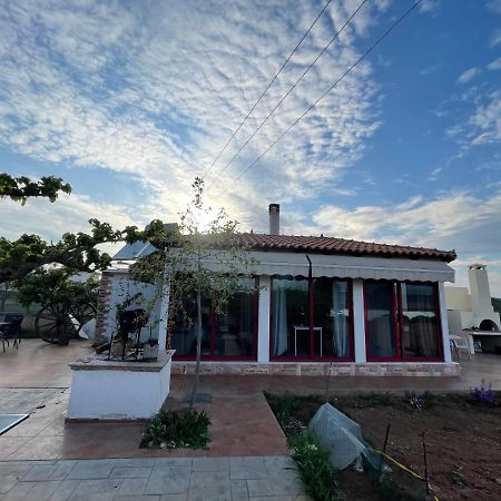 Country Lux Apartment Near Airport Markopoulo Mesogaias Экстерьер фото