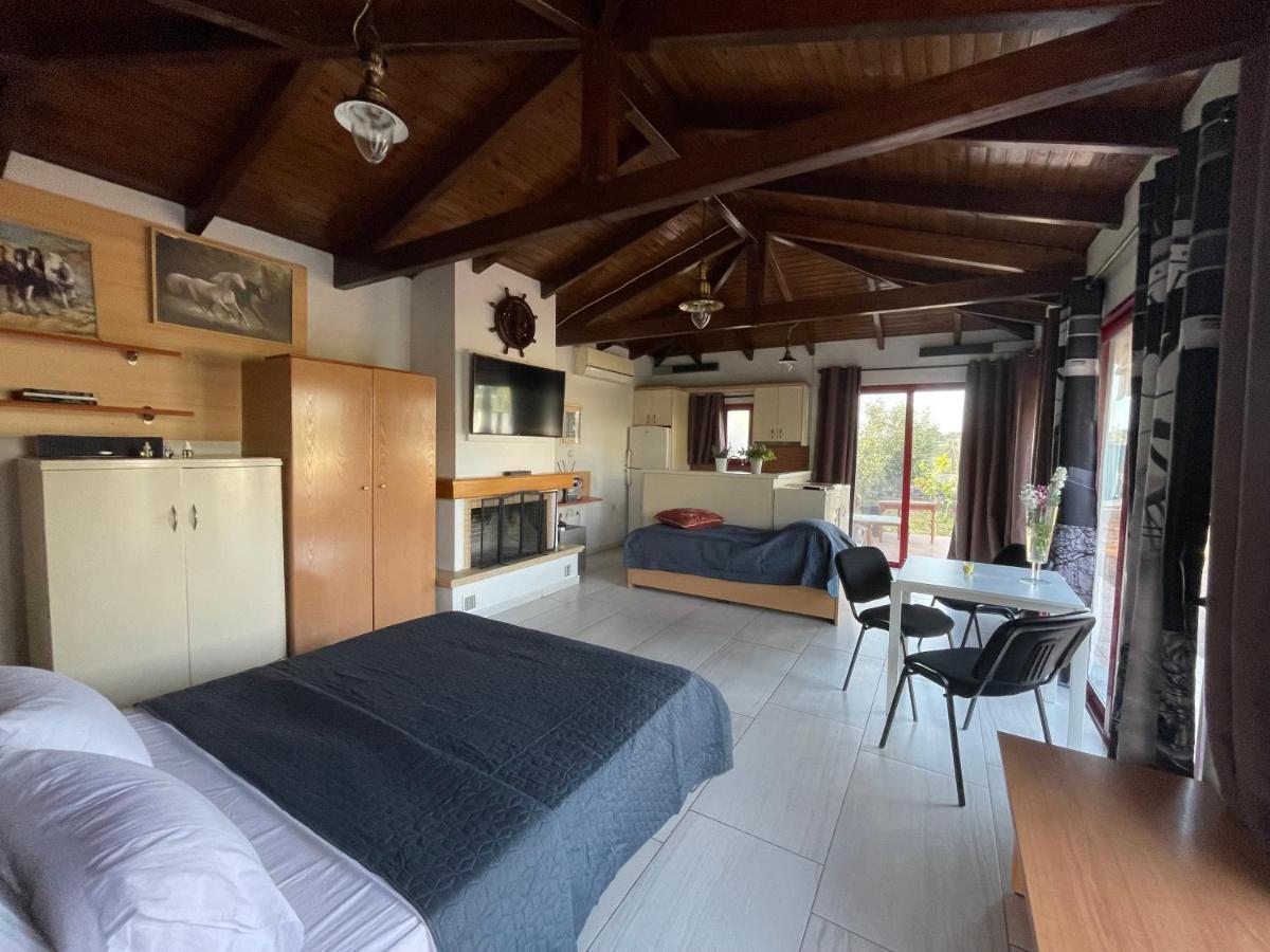 Country Lux Apartment Near Airport Markopoulo Mesogaias Экстерьер фото